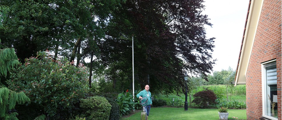 Rode beuk Loodijk op lijst Bijzondere Bomen