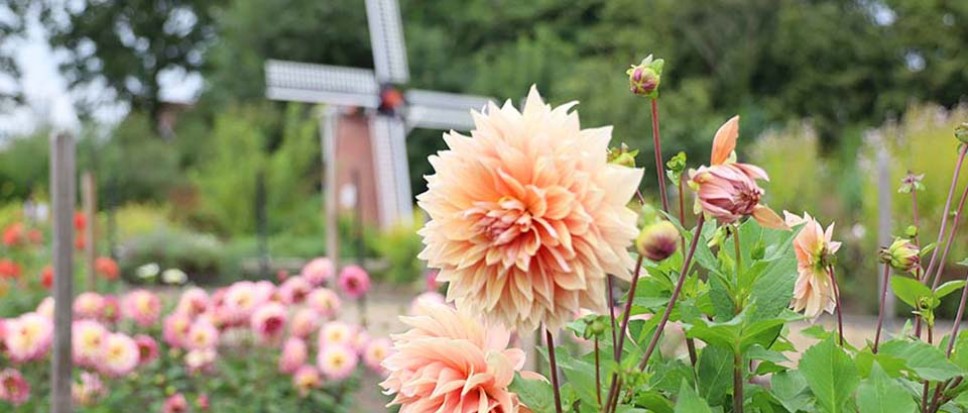 Open dagen Floralia van start