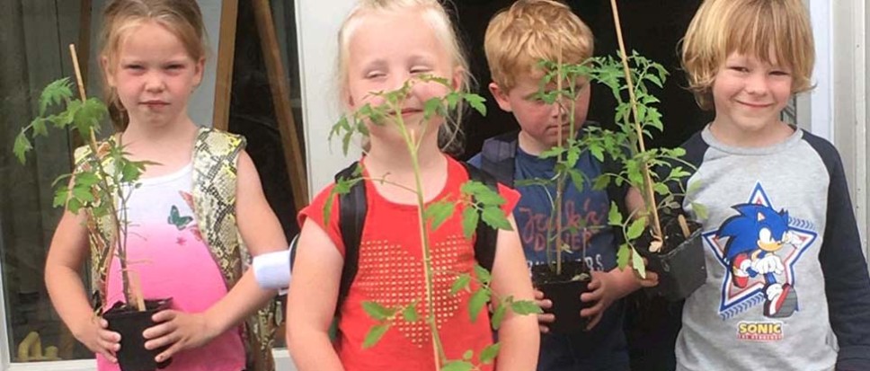 Leerlingen obs Azelo hebben groene vingers