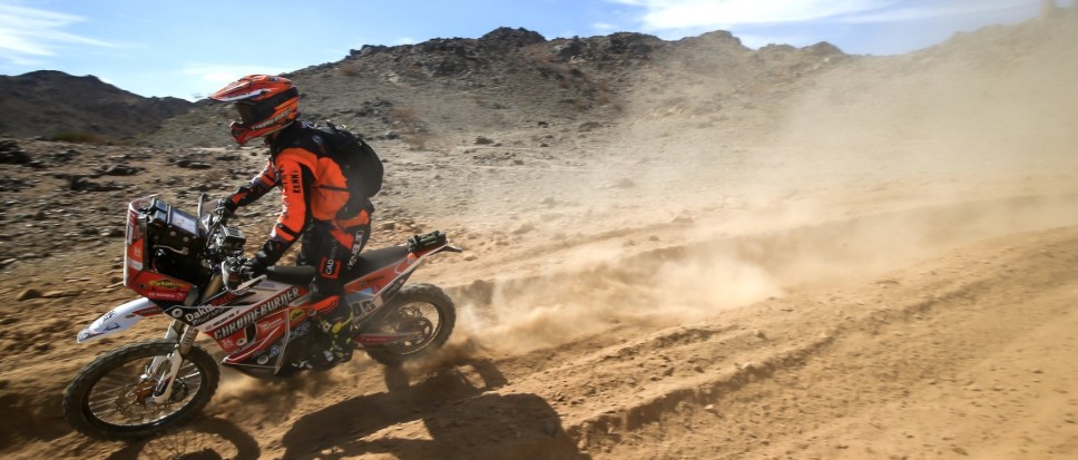 Mirjam Pol berust in neutralisatie