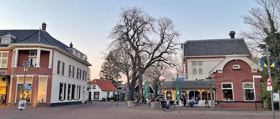 Monumentale kastanjebomen worden gekapt