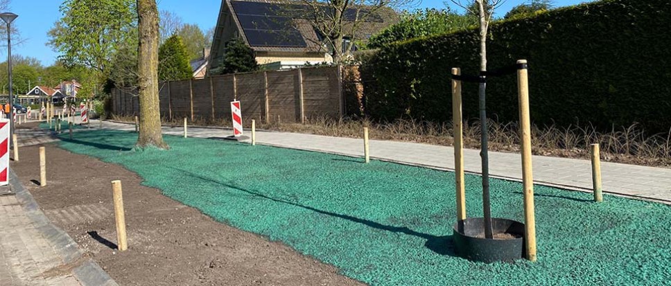 ‘Bloomingfields’ sieren de Europastraat