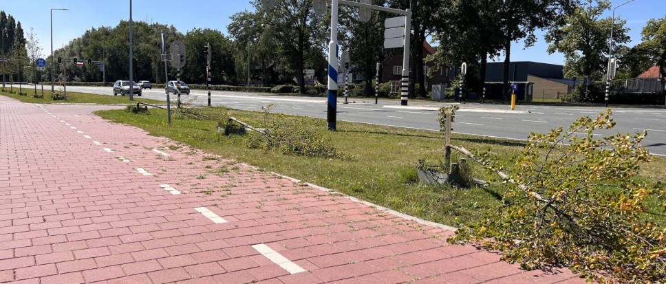 Jonge lindes buigen voor vandalisme