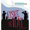 Ciske de Rat, de musical