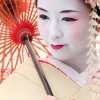 Geisha. Tradities, Rituelen en Zijde.