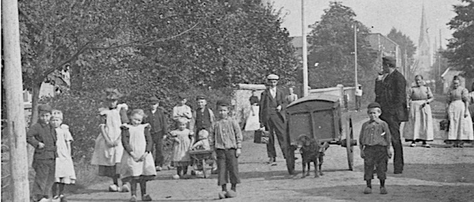 Hondenkar, vertrouwd straatbeeld in Borne
