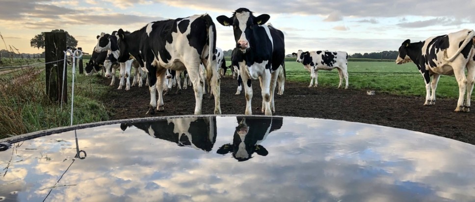 Kavels buitengebied Borne in de etalage