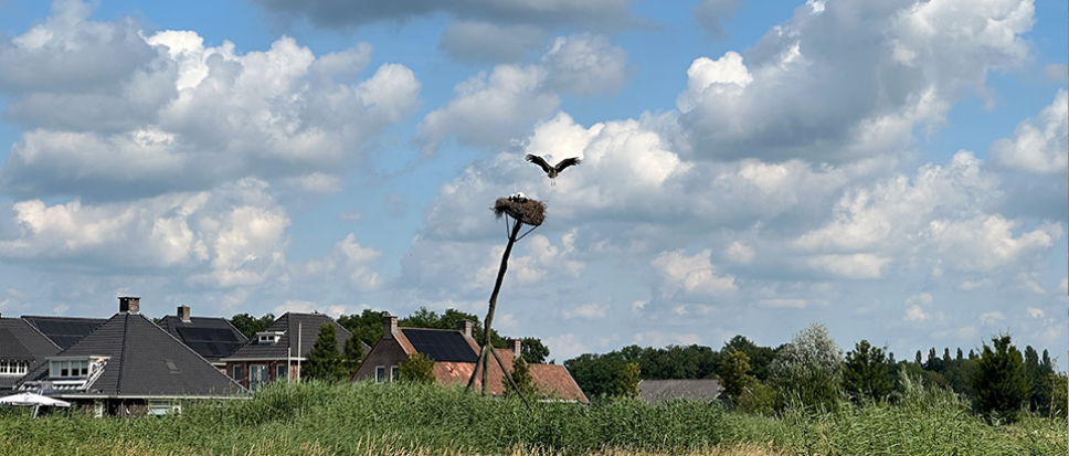 Gedwongen vliegles in Hertme