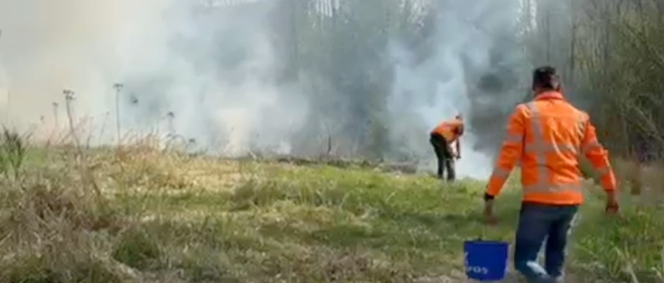 Bosbrand in Borne