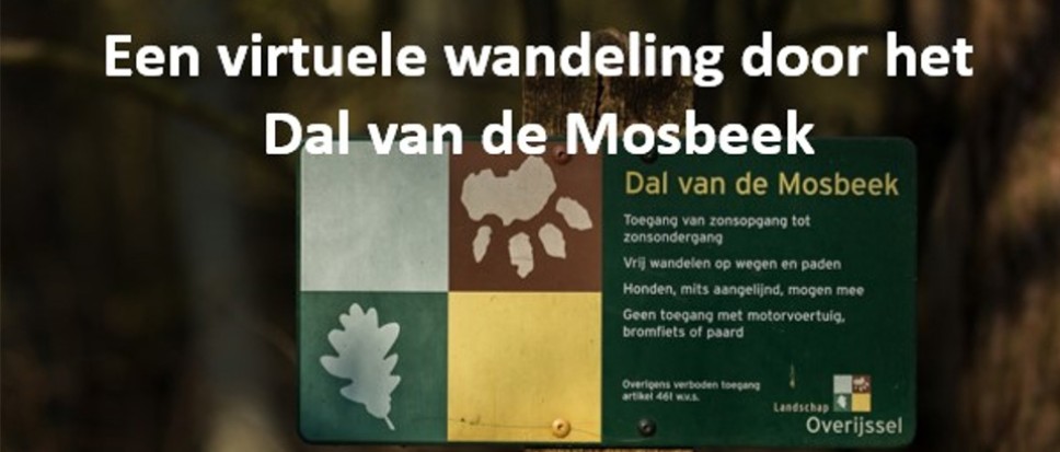 Lezing: Het Dal van de Mosbeek