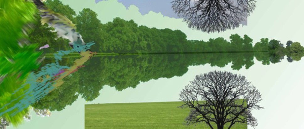 Expositie: 'de verandering'