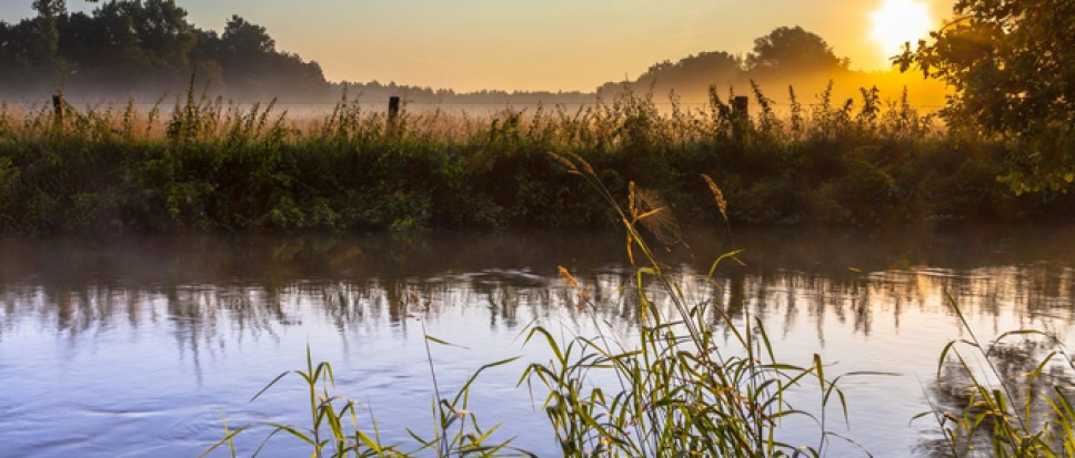 Website Twentse Fondsen gelanceerd