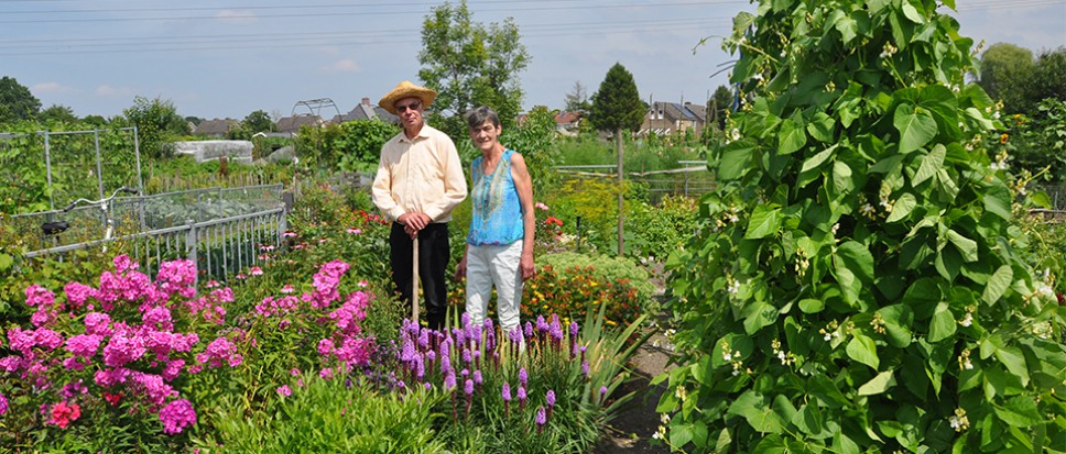 Eten uit eigen tuin, deel 1