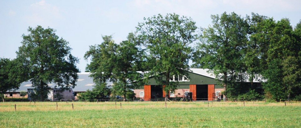 Beslaglegging Hemmelhorst blijft