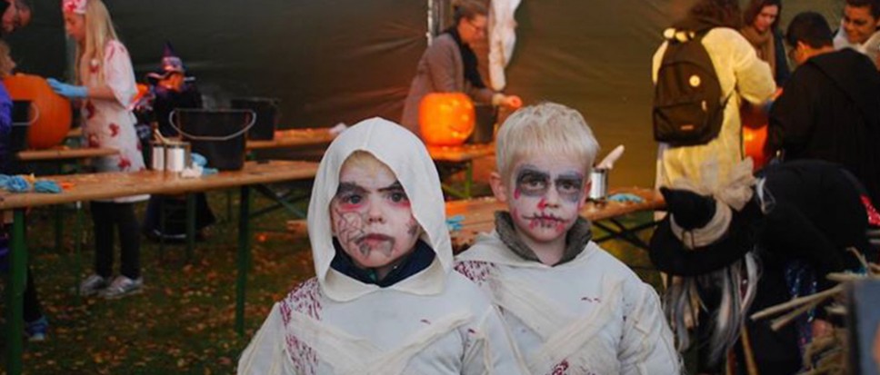Geen Halloween in Hertme, wel in Borne