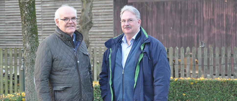Nieuw vervolgplan voor terrein Morselt