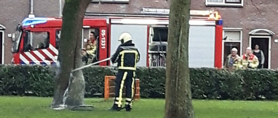 Boom in brand door vuurwerk