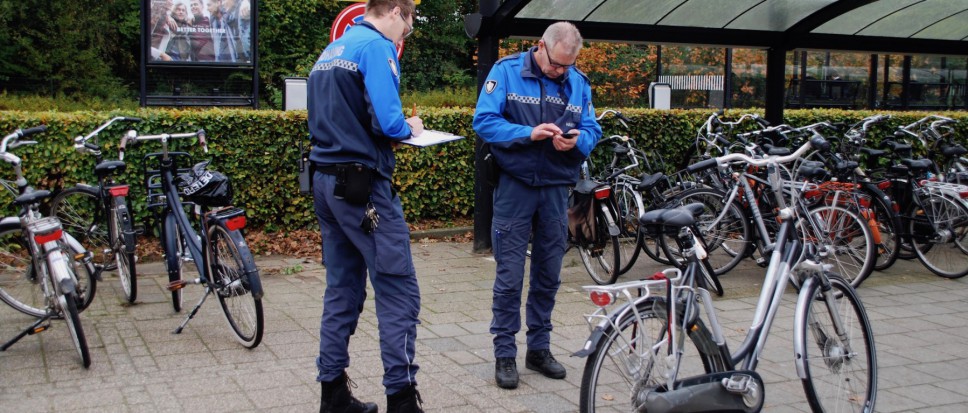 Meer BOA�s in Borne