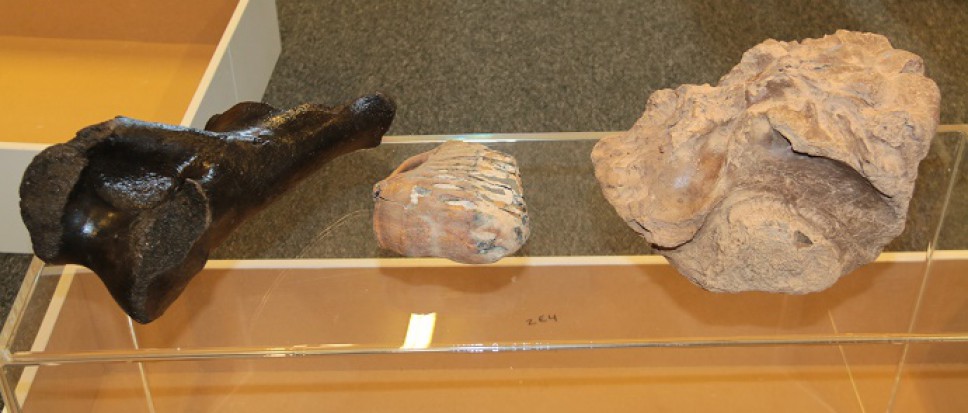 Archeologie voor kinderen in Kulturhus