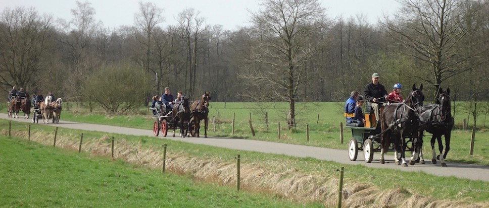 Paarden, koetsen, muziek n winkelen