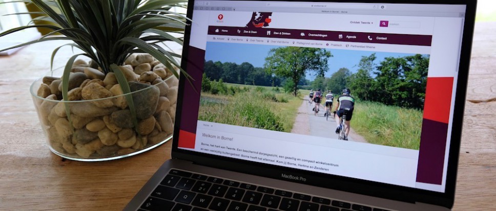 VVV-site verder als Visit Borne