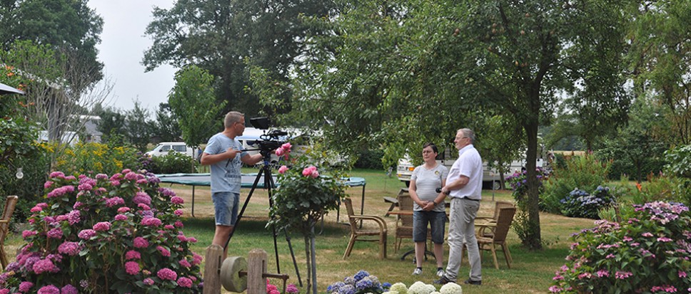 Het zomert in Hertme