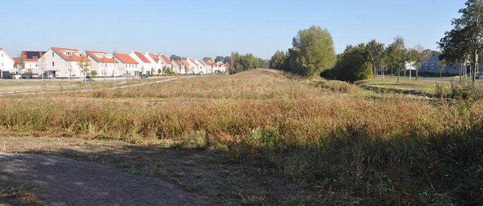 Groene buffer tussen Borne en Hengelo