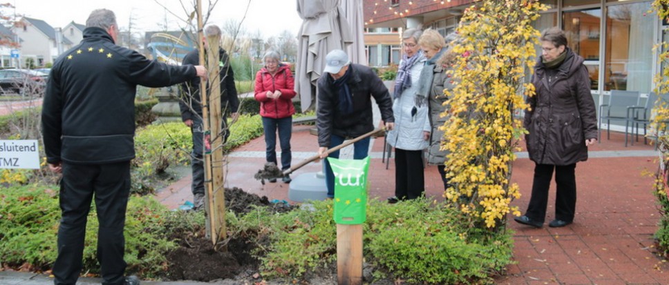 Amberboom geplant bij Dijkhuis