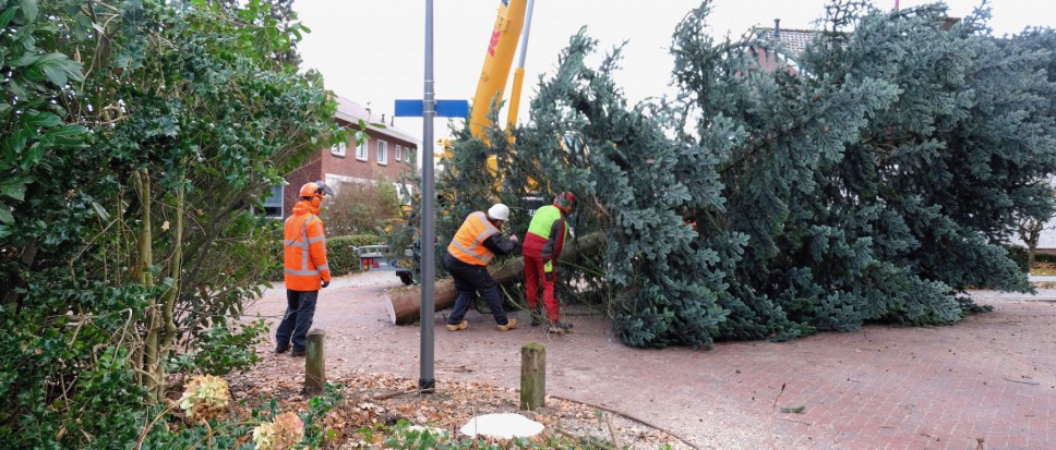 Van Dikkerslaan naar Rheineplein