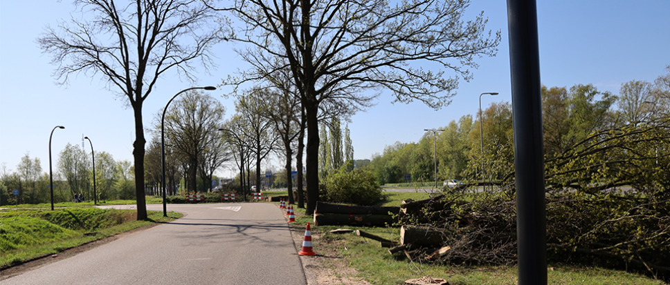 18 bomen tegen de vlakte