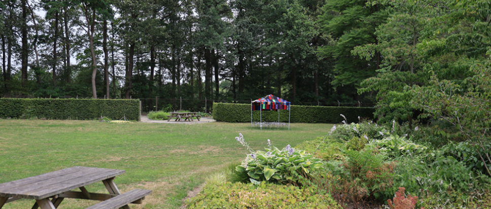 Pareltje van natuur en kunst