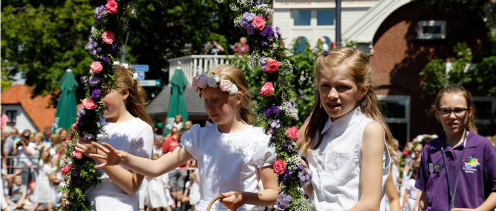 Geen bloemen in het haar voor Rosa
