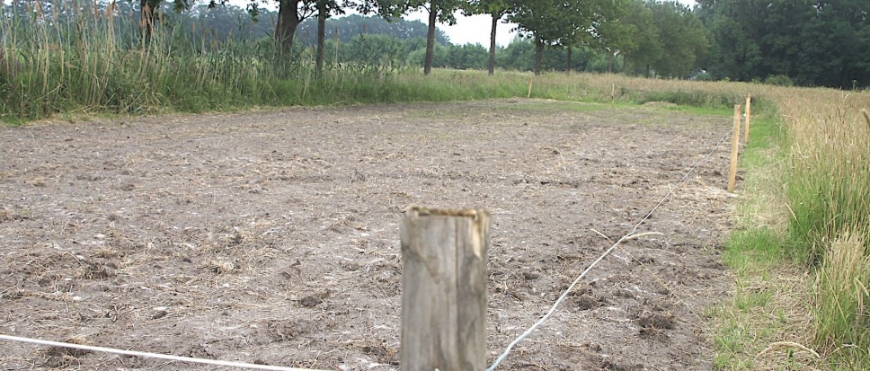 Wedeplanten in Hertme
